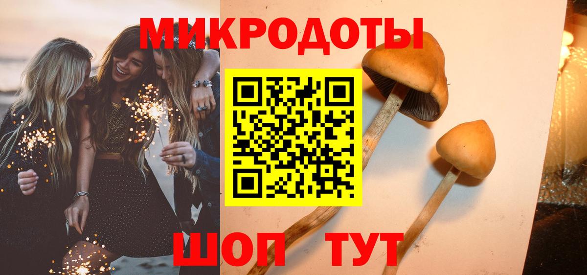 Галлюциногенные грибы Psilocybine cubensis Асино