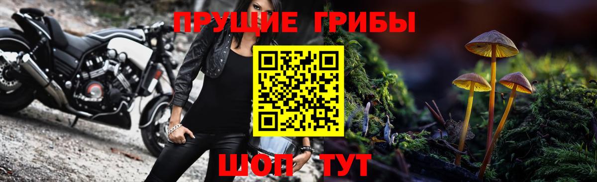 Псилоцибиновые грибы GOLDEN TEACHER  Вход с VPN  Асино  Псилоцибиновые грибы GOLDEN TEACHER 